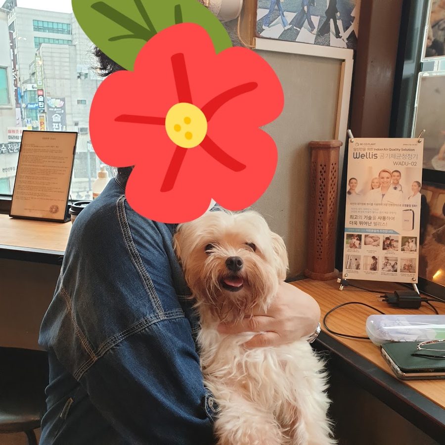 Cheonan Stray Dog Cafe It's Dog