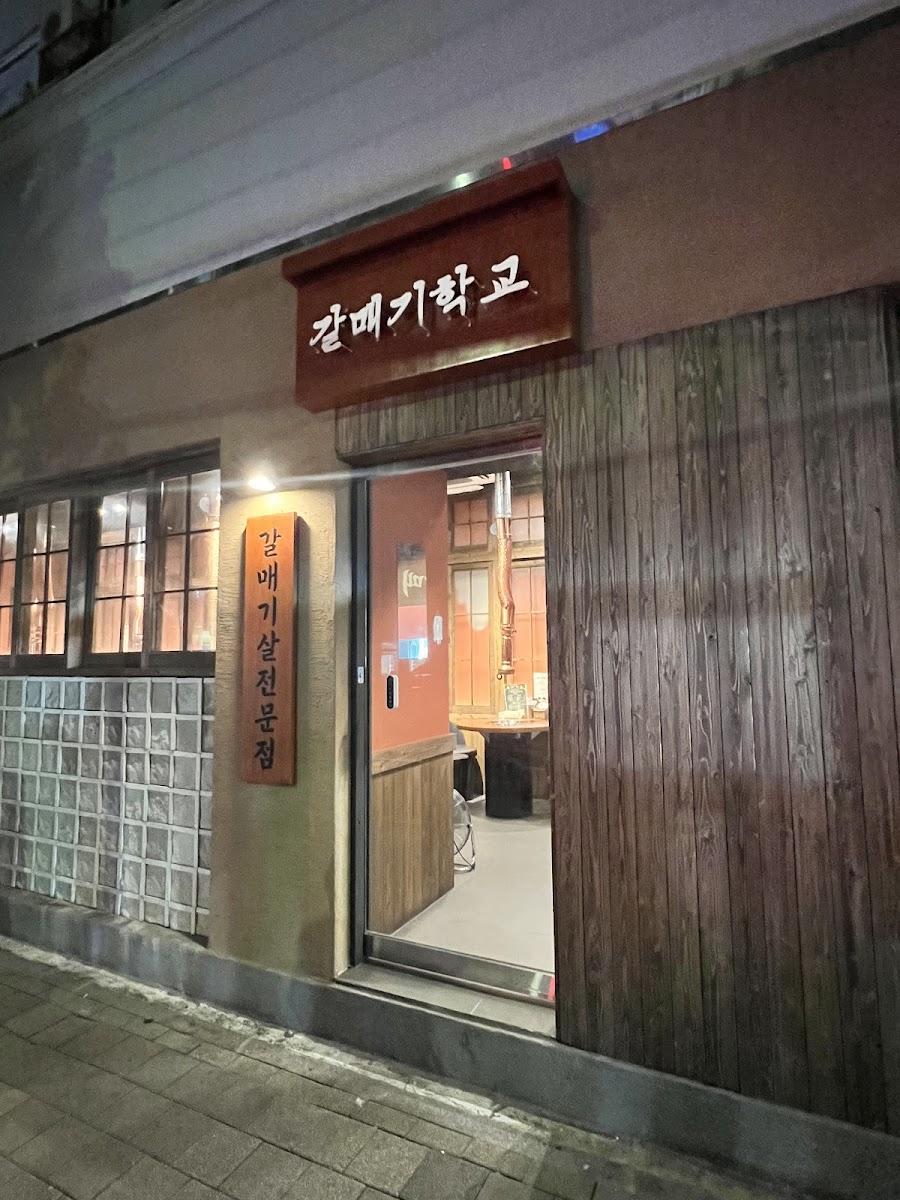 갈매기 학교