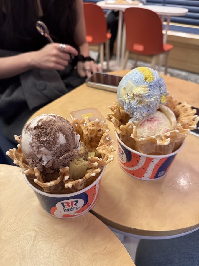 Baskin-Robbins Parnas Mall