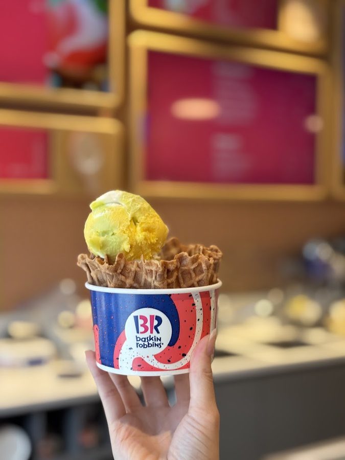 Baskin-Robbins Apgujeong Station Branch
