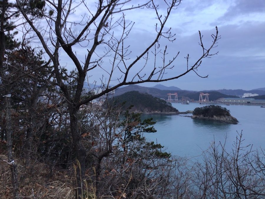 화손대