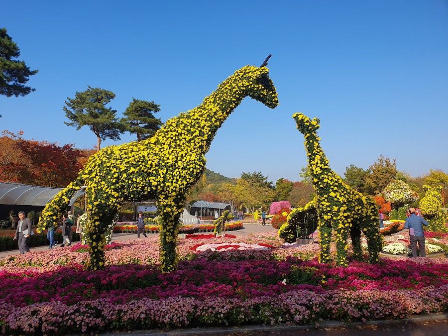 대구수목원