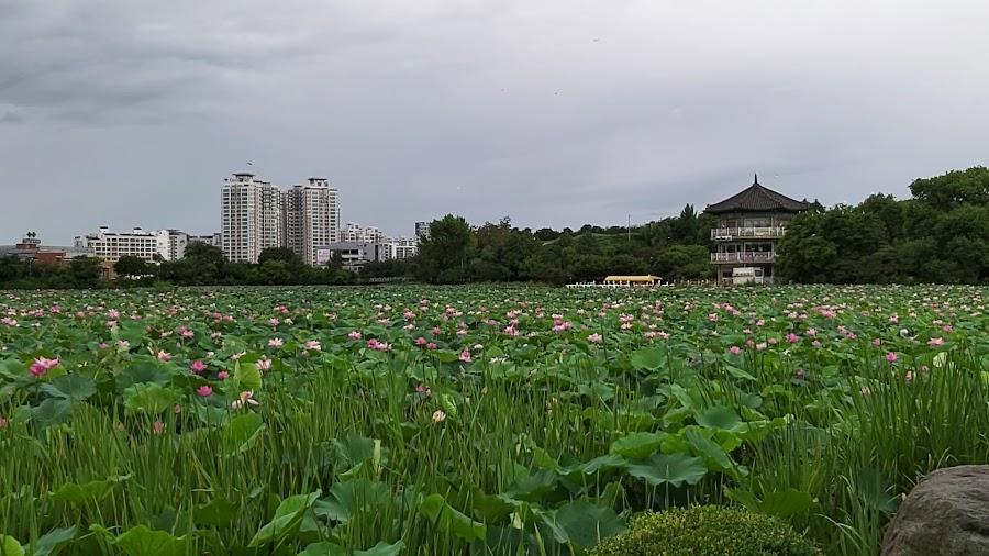 徳津公園