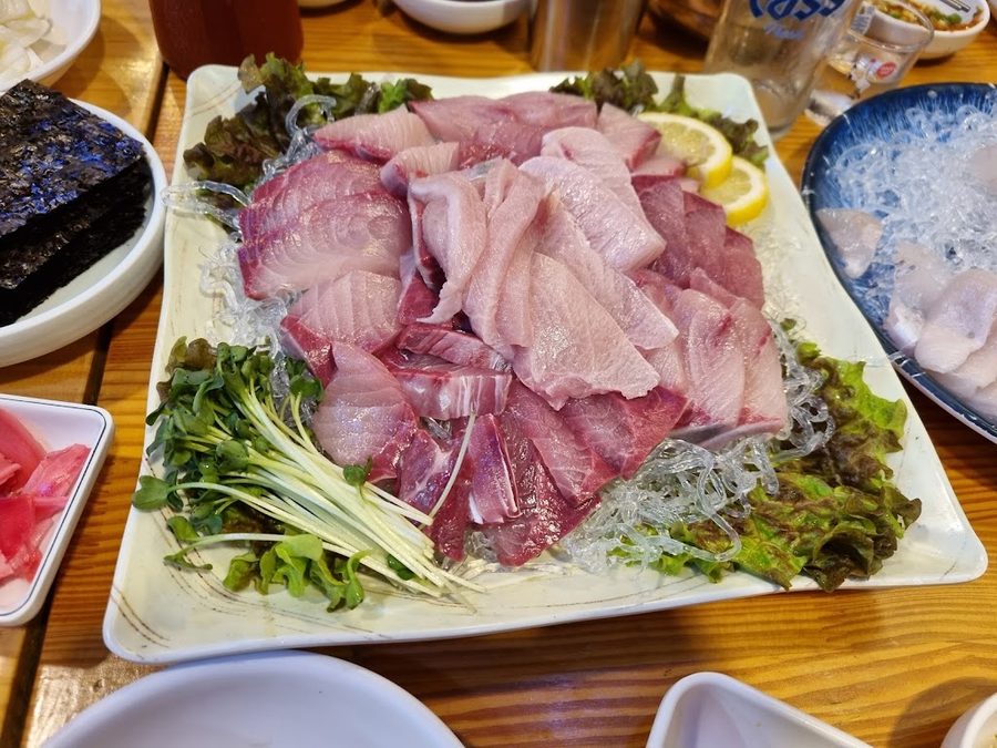오징어세상