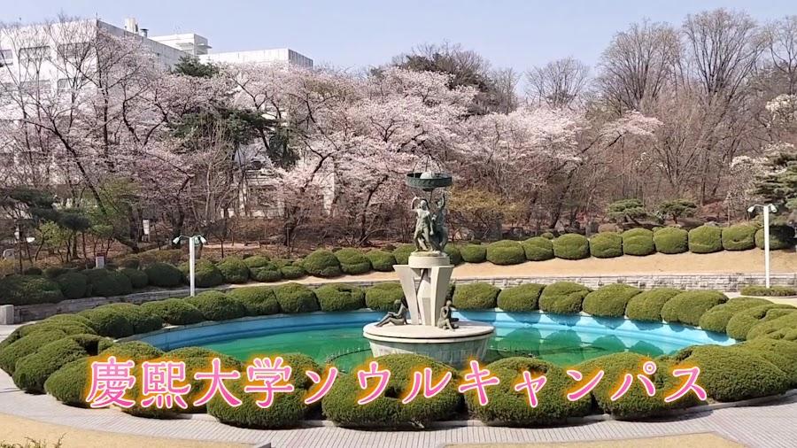 慶熙大學 首爾校區