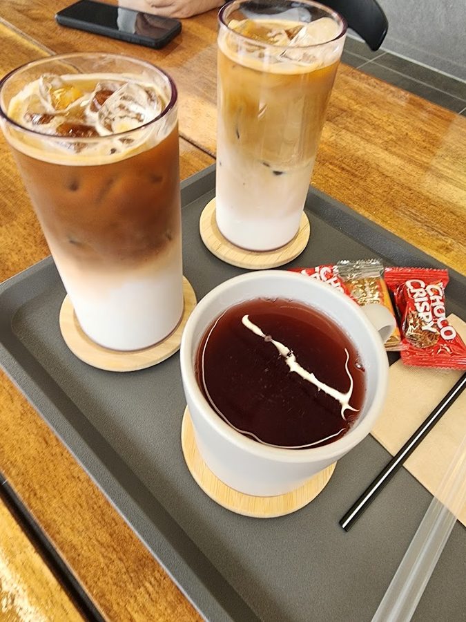 마이피트