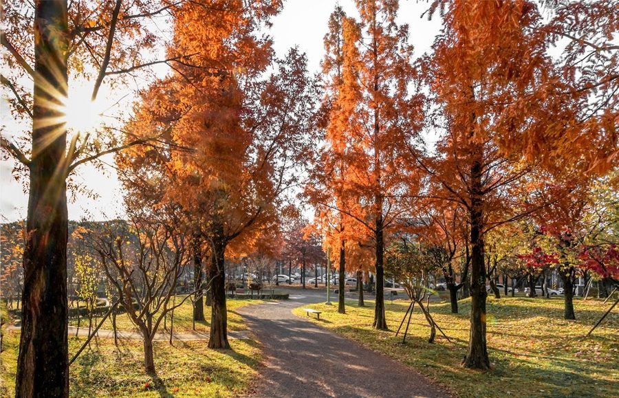 虎山公園