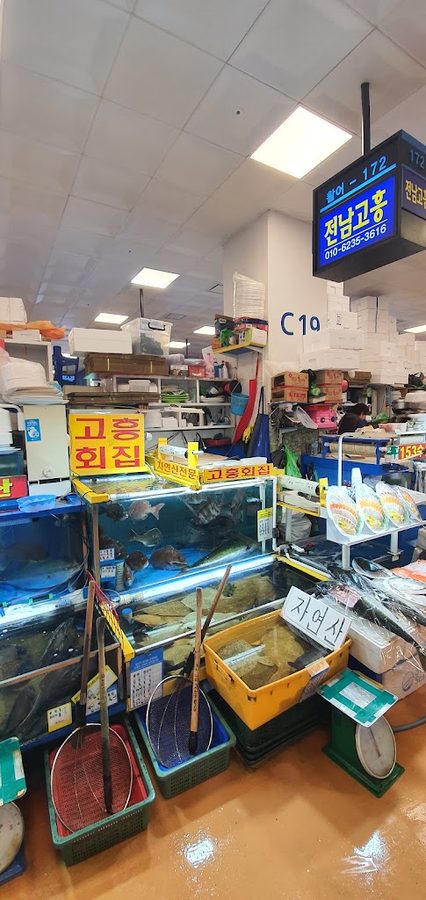 전남고흥 활어