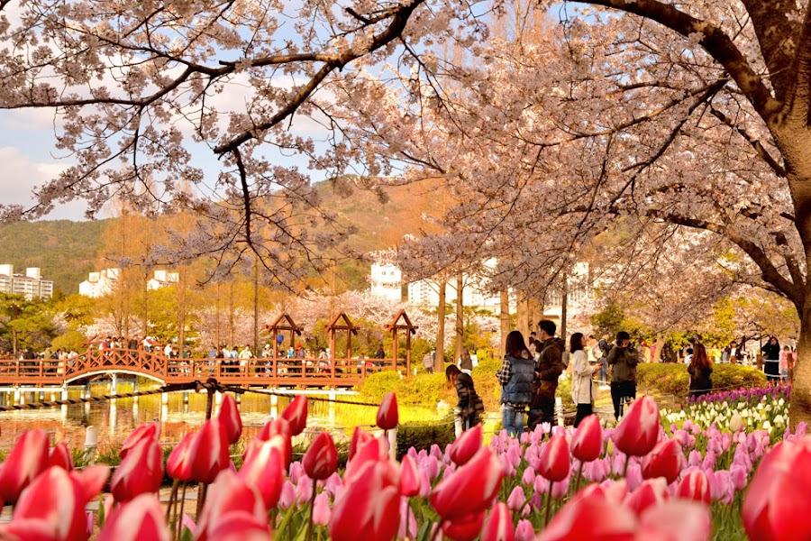 蓮池公園