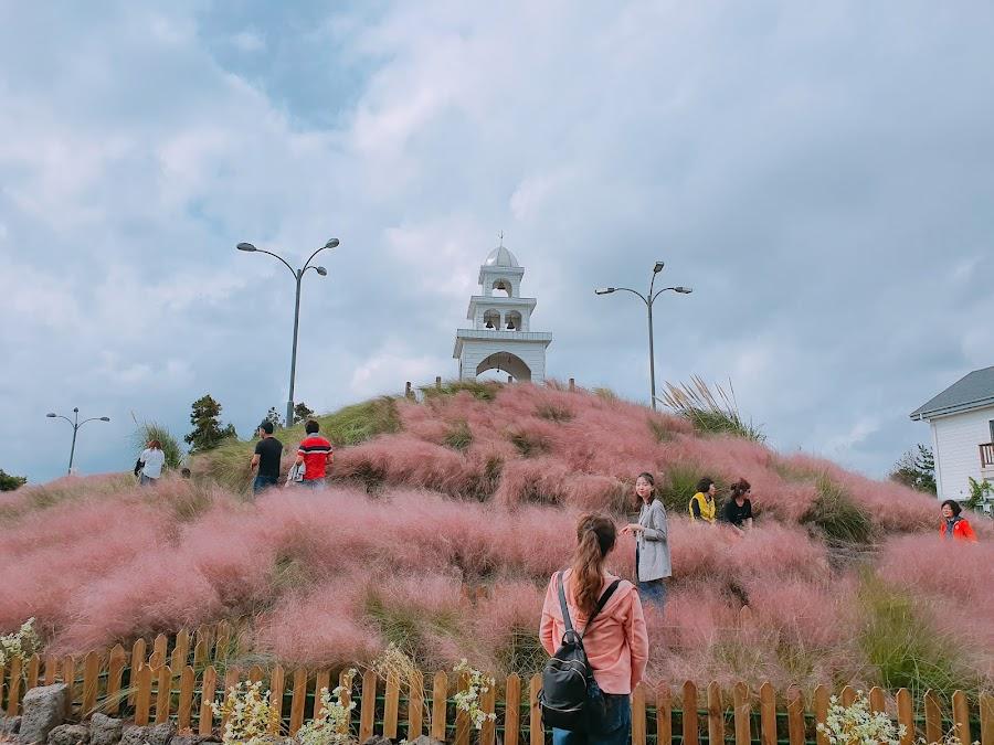 Jeju herb garden