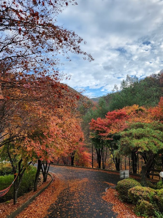 계명산자연휴양림