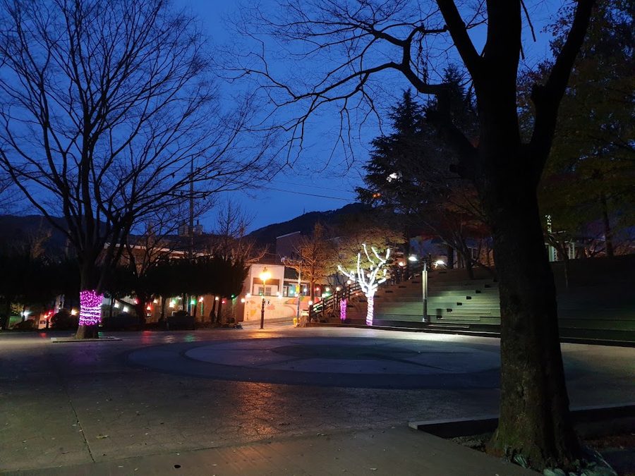 白楊近隣公園