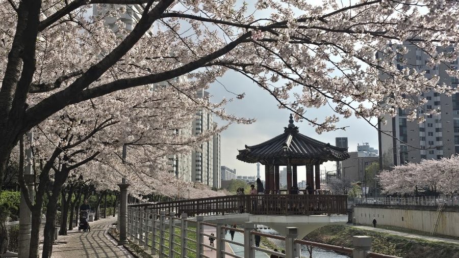 당현천