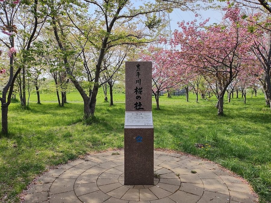 Toyohiragawa Sakura no Mori