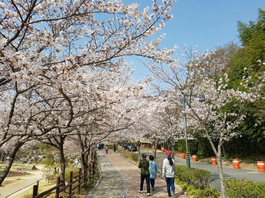 仙岩湖公園
