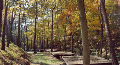 Geommasan Recreational Forest