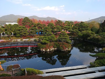 Bear Tree Park