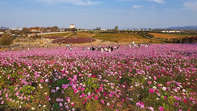 安城牧場