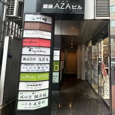 Ginza Negura