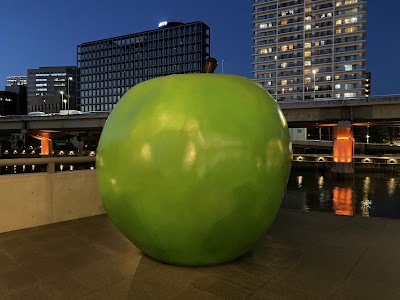 「青りんご」安藤忠雄