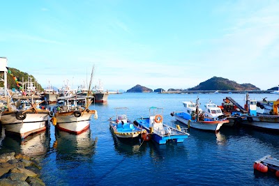 ミジョ港