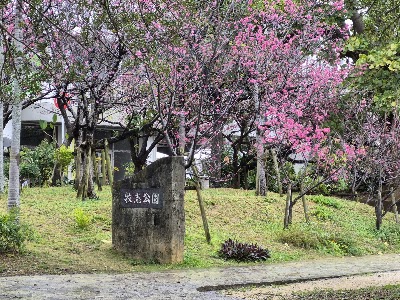 Makishi Park
