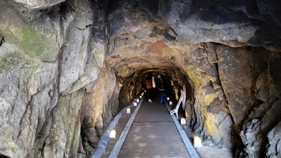 Dwinggul Donggul