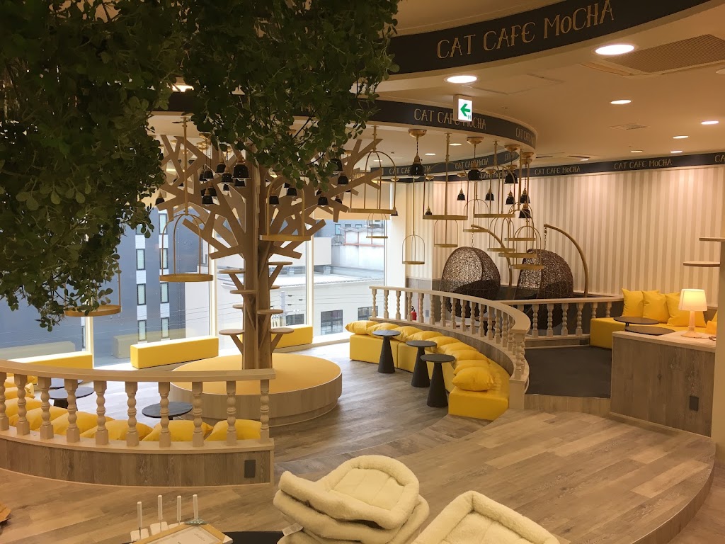 猫カフェMOCHA（モカ）京都河原町店
