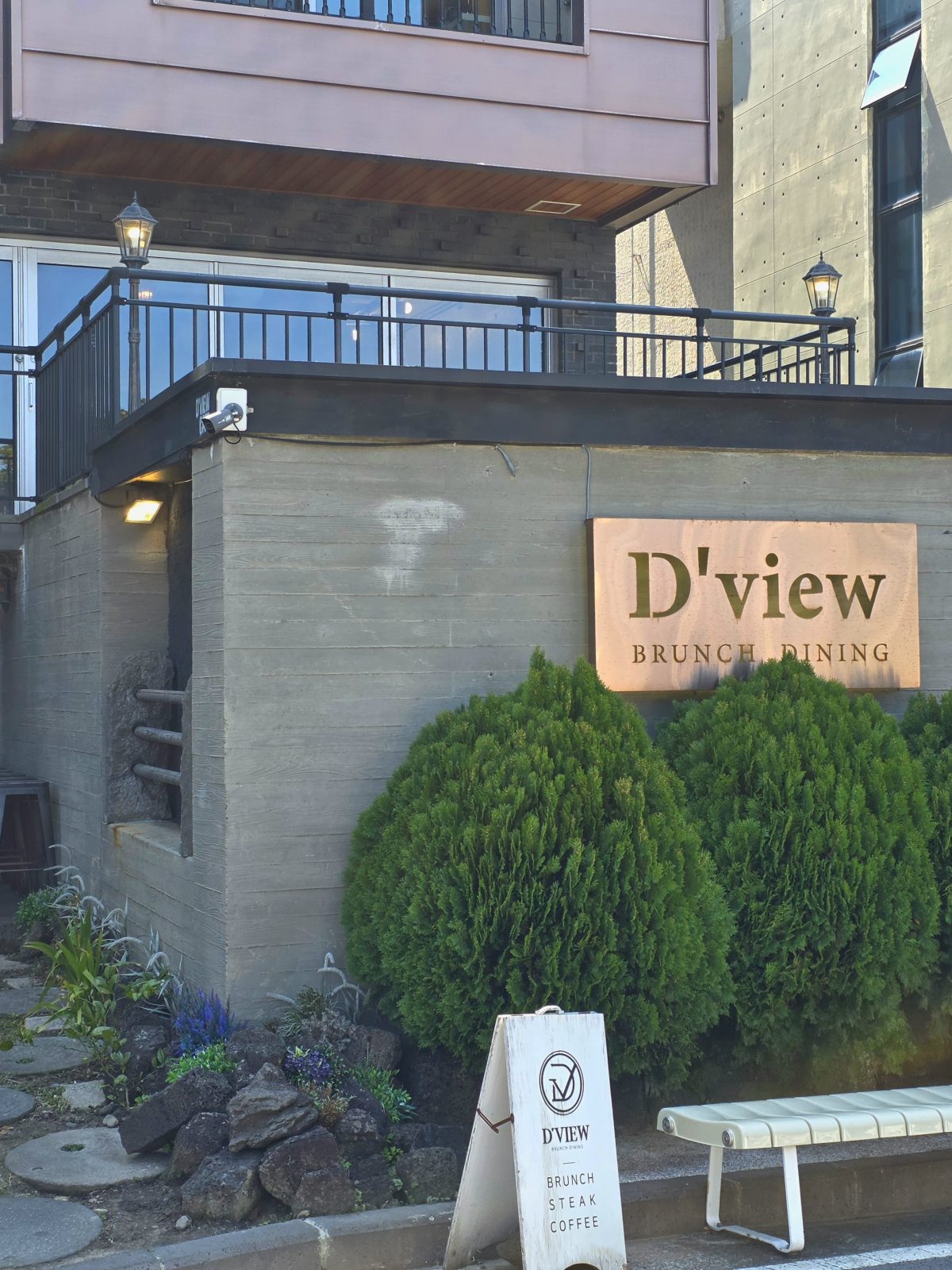 D’VIEW