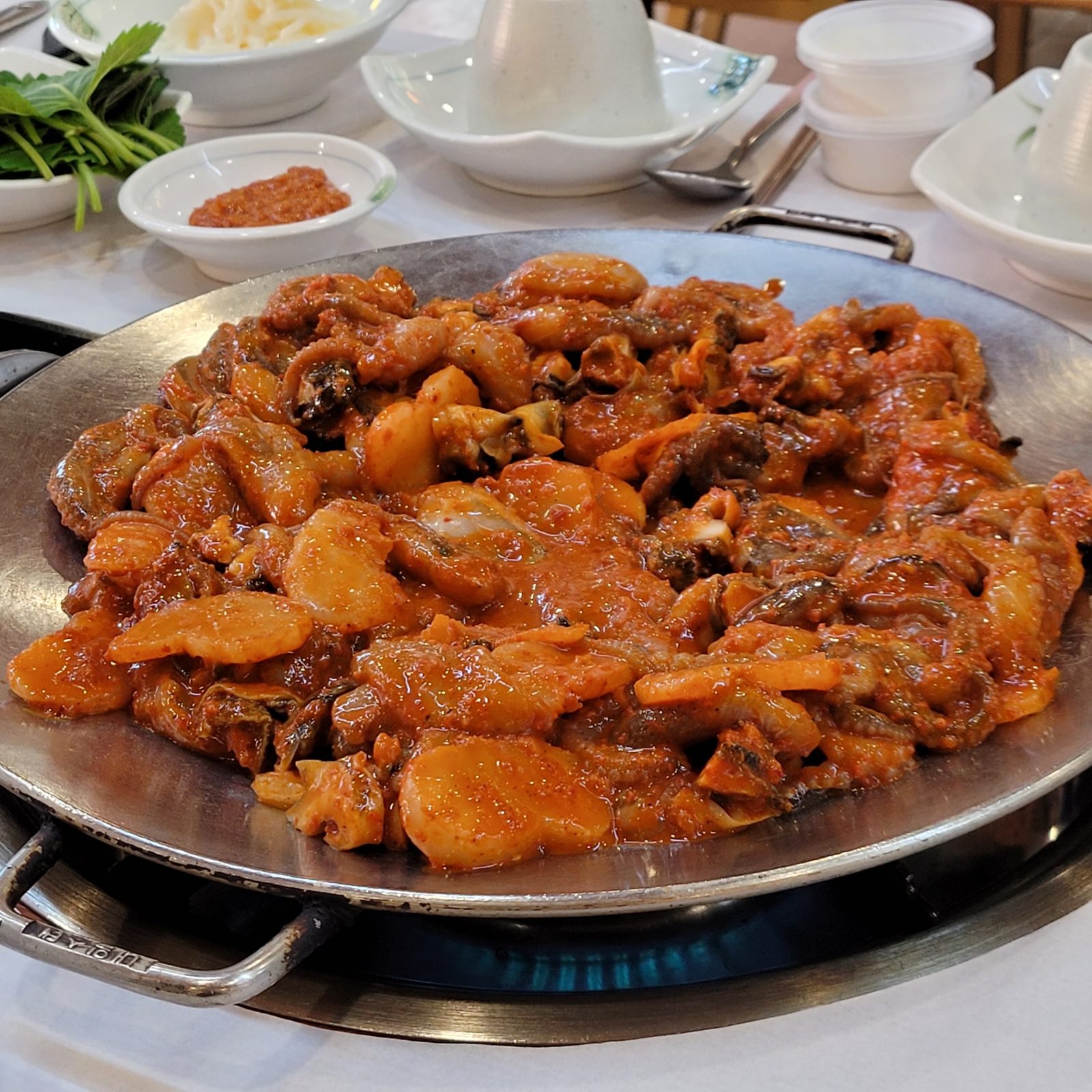 Seohae Jjukkumi