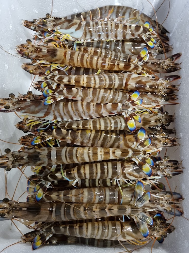 오도리회집