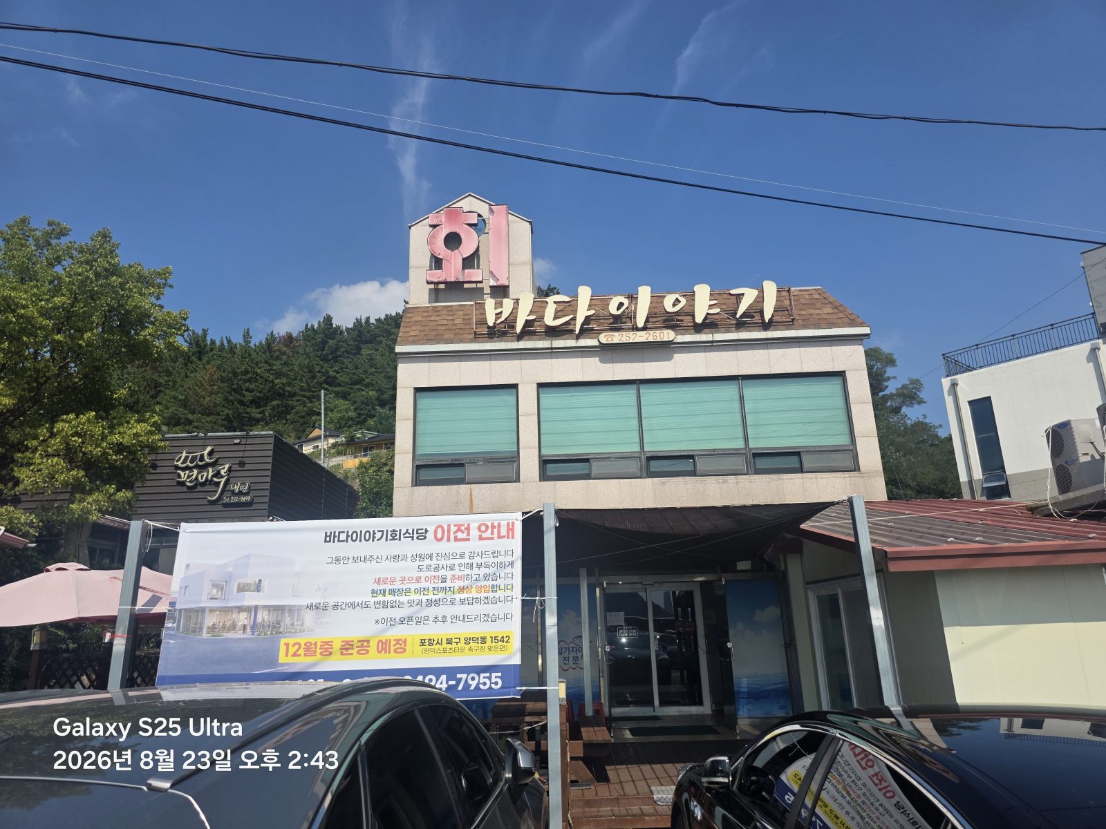 오늘도가자미