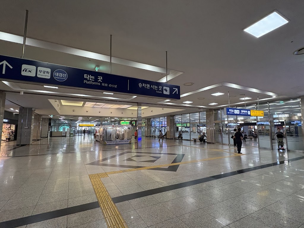 대구