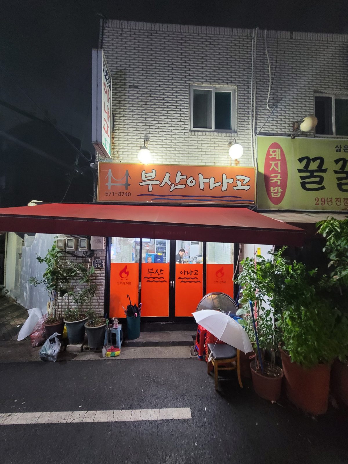 釜山星鰻
